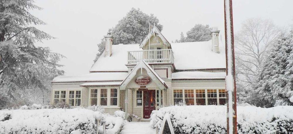 Norwood Mountain Lodge 黑荒地 外观 照片