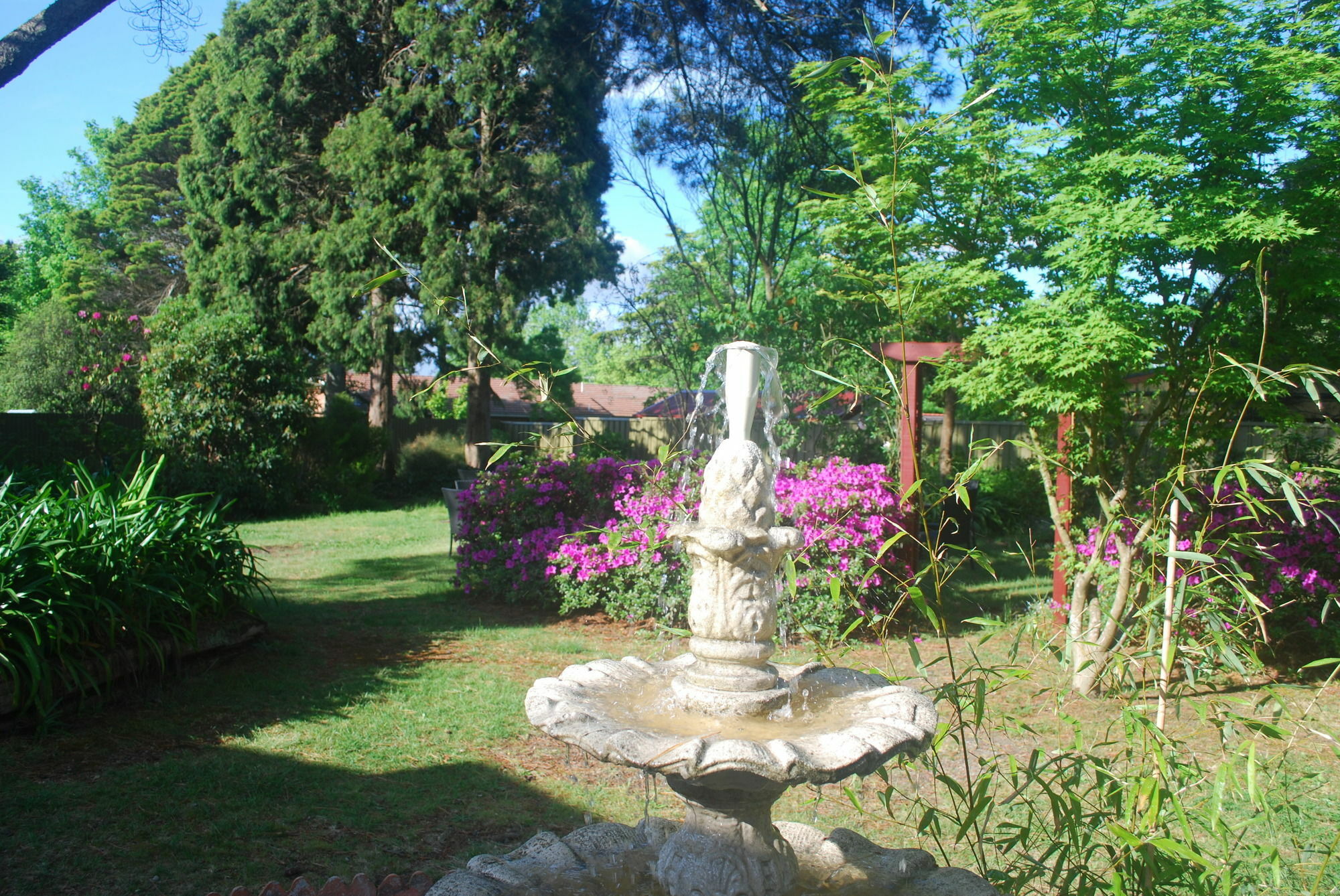 Norwood Mountain Lodge 黑荒地 外观 照片